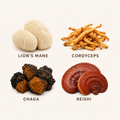 Organic Dry Mushroom Powder